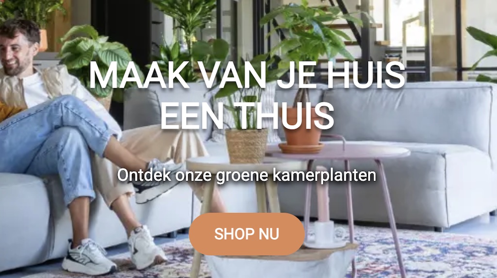 kopregel subkop voorbeeld